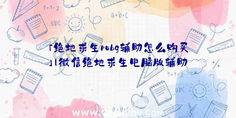 「绝地求生pubg辅助怎么购买」|微信绝地求生电脑版辅助